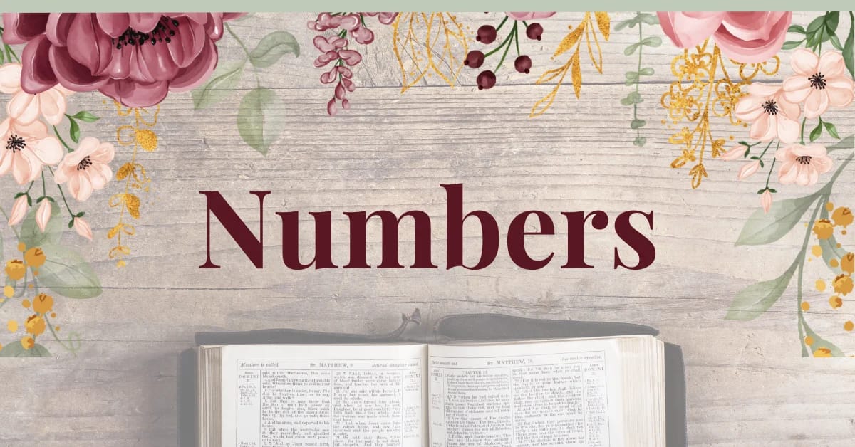 The Amazing Book of Numbers: Finding Jesus in the Wilderness Journey