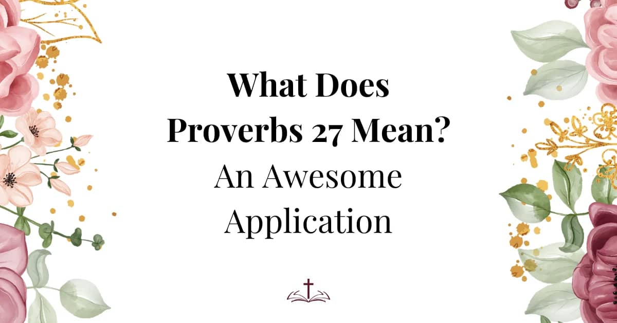 what does proverbs 27 mean